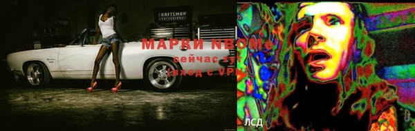 ГАЛЛЮЦИНОГЕННЫЕ ГРИБЫ Беломорск