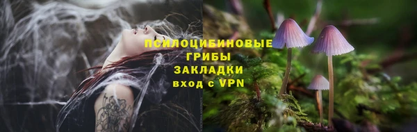 Альфа ПВП Богородск
