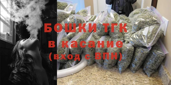 сатива Богородицк