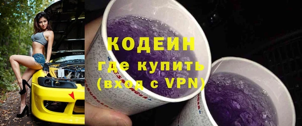 сатива Богородицк