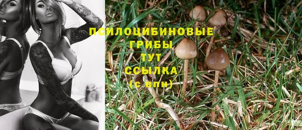 сатива Богородицк