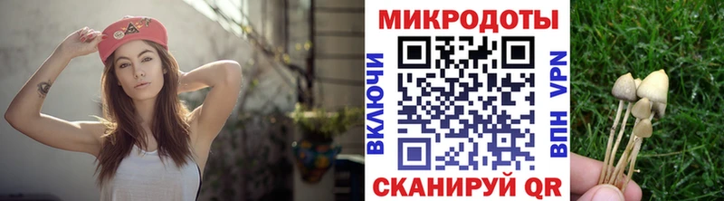 Галлюциногенные грибы Psilocybine cubensis купить наркотик Михайлов
